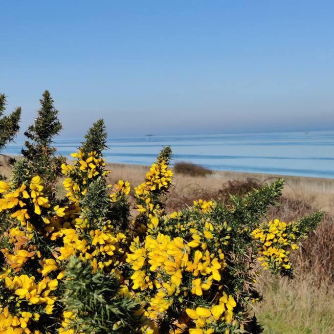 Escape To The Coast In A Luxurious Private Apartment Herne Bay Esterno foto
